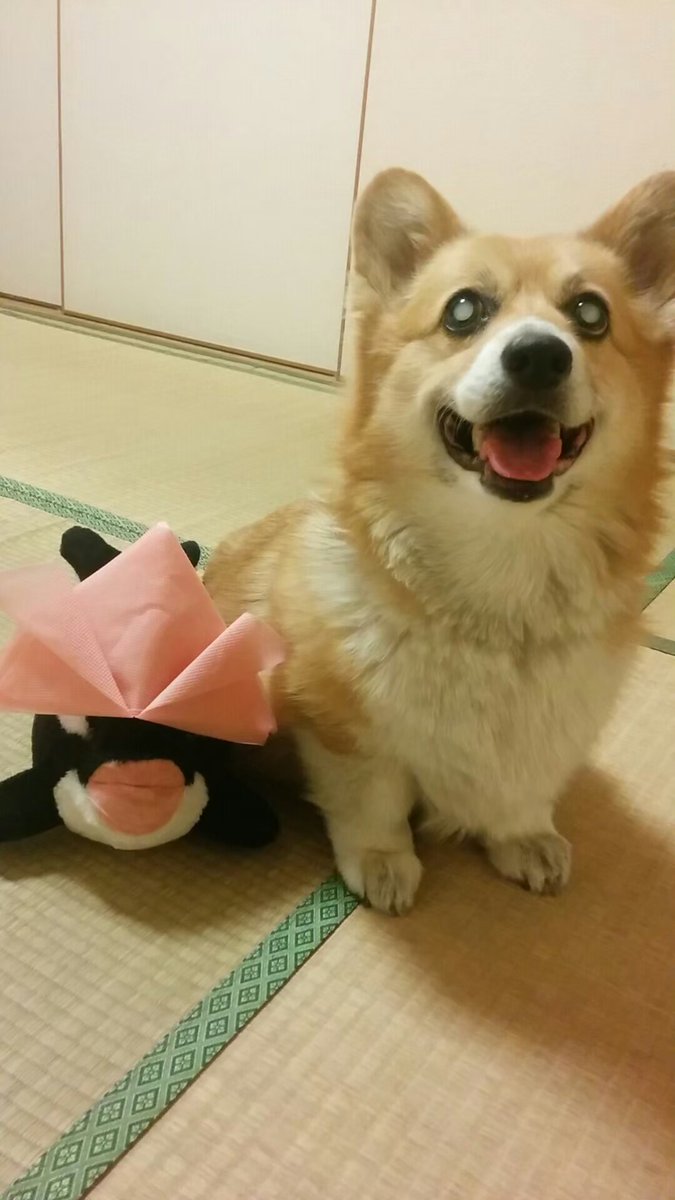 健やかに😊🎏
#子どもの日