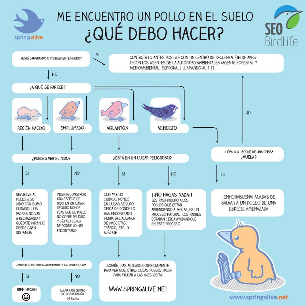 Policía Local Utebo tweet media