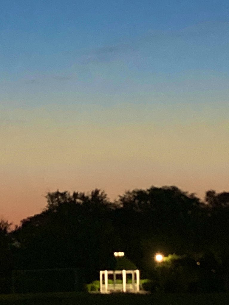 moldposting's tweet image. 