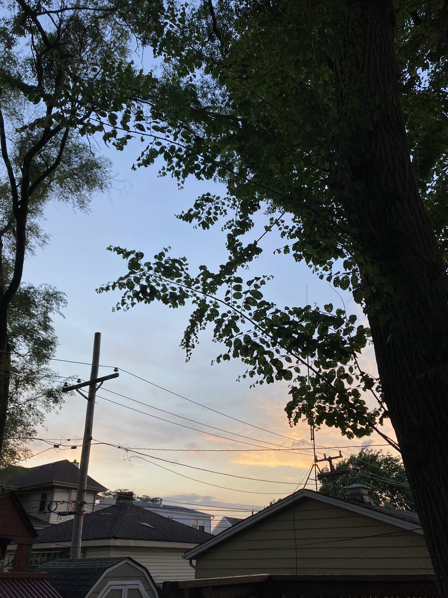 moldposting's tweet image. 