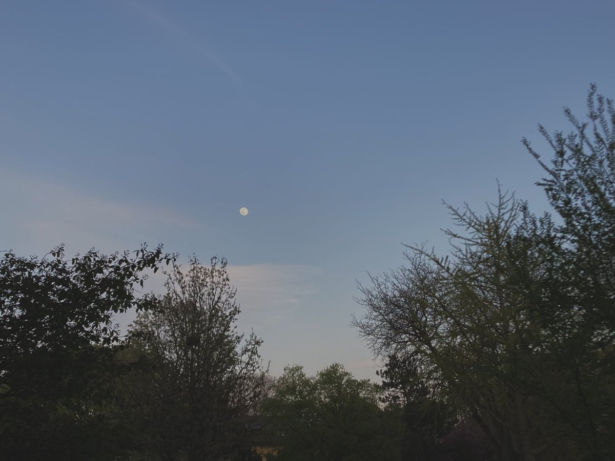 moldposting's tweet image. 