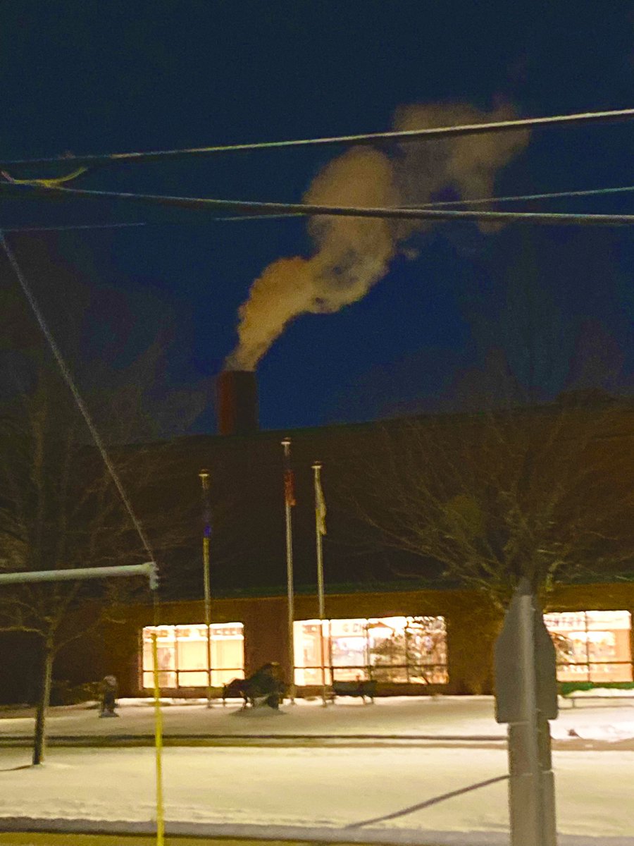 moldposting's tweet image. 