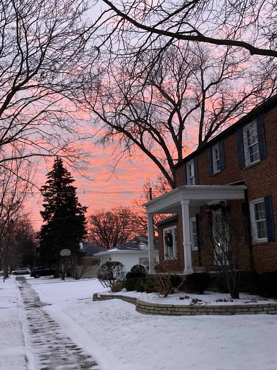 moldposting's tweet image. 