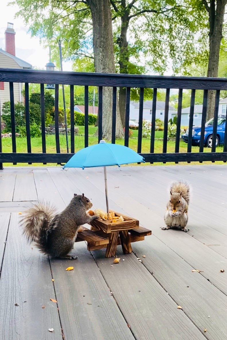 toribird33's tweet photo. My mindfulness activity 🥰 https://t.co/5JqwfUFKYH
