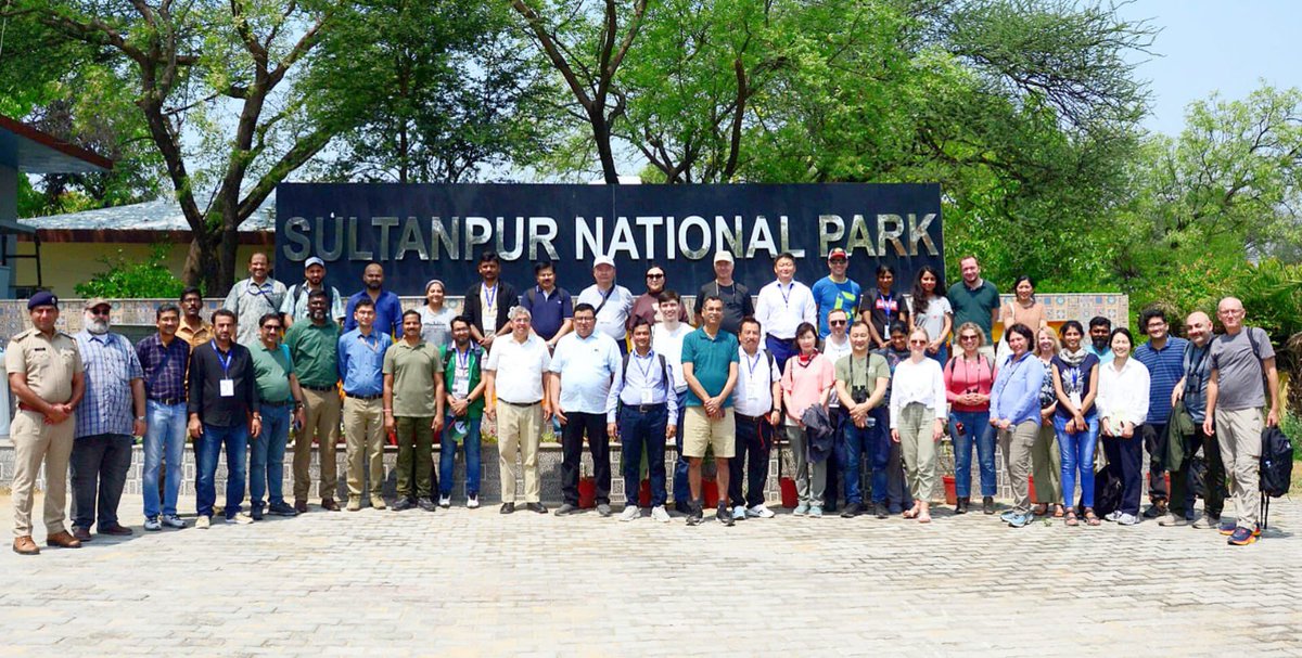 wii_india's tweet photo. Delegates from range
countries of CAF visited Sultanpur NP. @moefcc @wii_india @HaryanaAnd provided inputs on Indian wetlands and emphasised our strong commitment to #CAFI.
@gopigv @TaejMundkar #rsureshkumar #cramesh @BirdLife_News
@RamsarConv @WetlandsInt_SA https://t.co/7SHNq3D07f