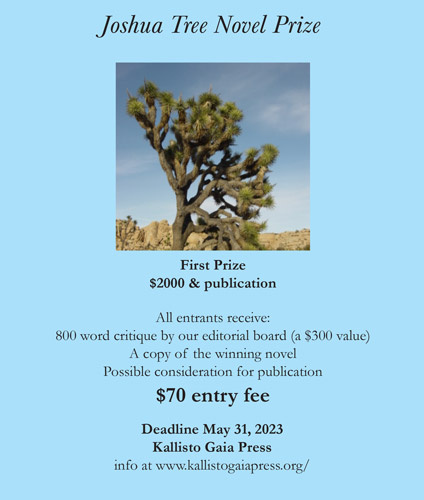 Kallisto Gaia Press @pressgaia has announced the Joshua Tree Novel Prize. Deadline to submit the first 10k words of an unpublished novel manuscript is May 31. $70 fee. Winner receives $2k & book publication. All entries receive critique of their novel. newpages.com/guide-submissi…