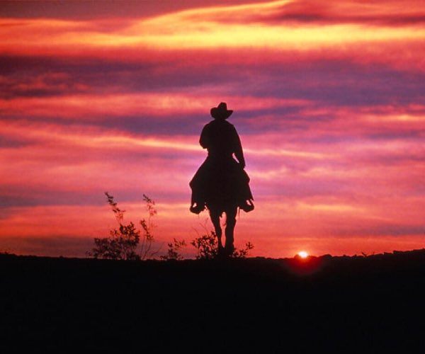 Jimmy Venom tweet media