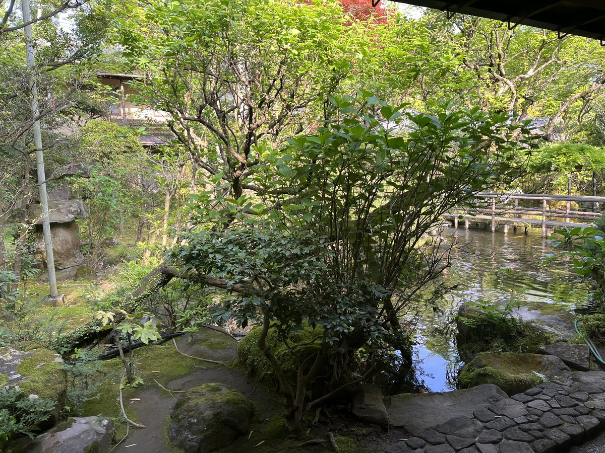06norffas's tweet photo. 再掲🙏　GW前、鉄ちゃんだという夫氏の希望でロマンスカーGSEで箱根へ。超快適😀
鉄ちゃんとは初耳だけども😲
観光客の7割くらいが外国人で以前とはガラリと違った印象だったのが第一の驚き。
やっと行けた岡田美術館がオカダマニラのユニバーサルエンターテインメントの運営と知ったのが第二の驚き。 https://t.co/QcvQvidVvX