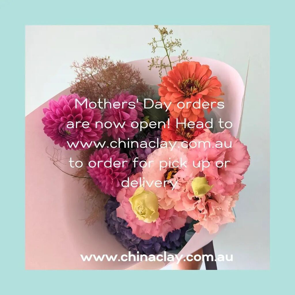 chinaclay_clov's tweet photo. Mothers' Day orders are now open! As always, pre-ordering your flowers is the best way to make sure you don't miss out. So head to the website or call us on 02 96653238 to place your order for pick up or delivery... https://t.co/qHjRz0IuwK