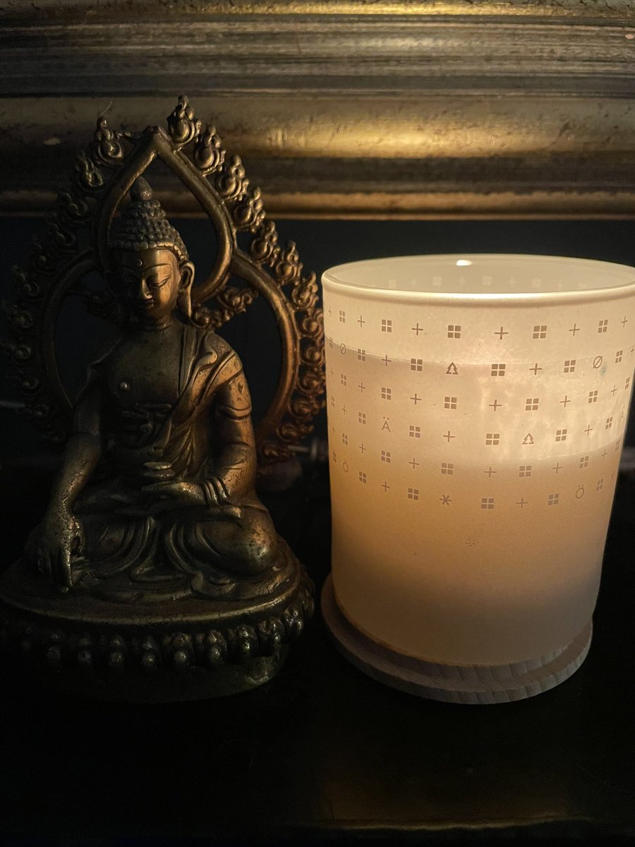 NikkiNonJones's tweet image. #ForMax