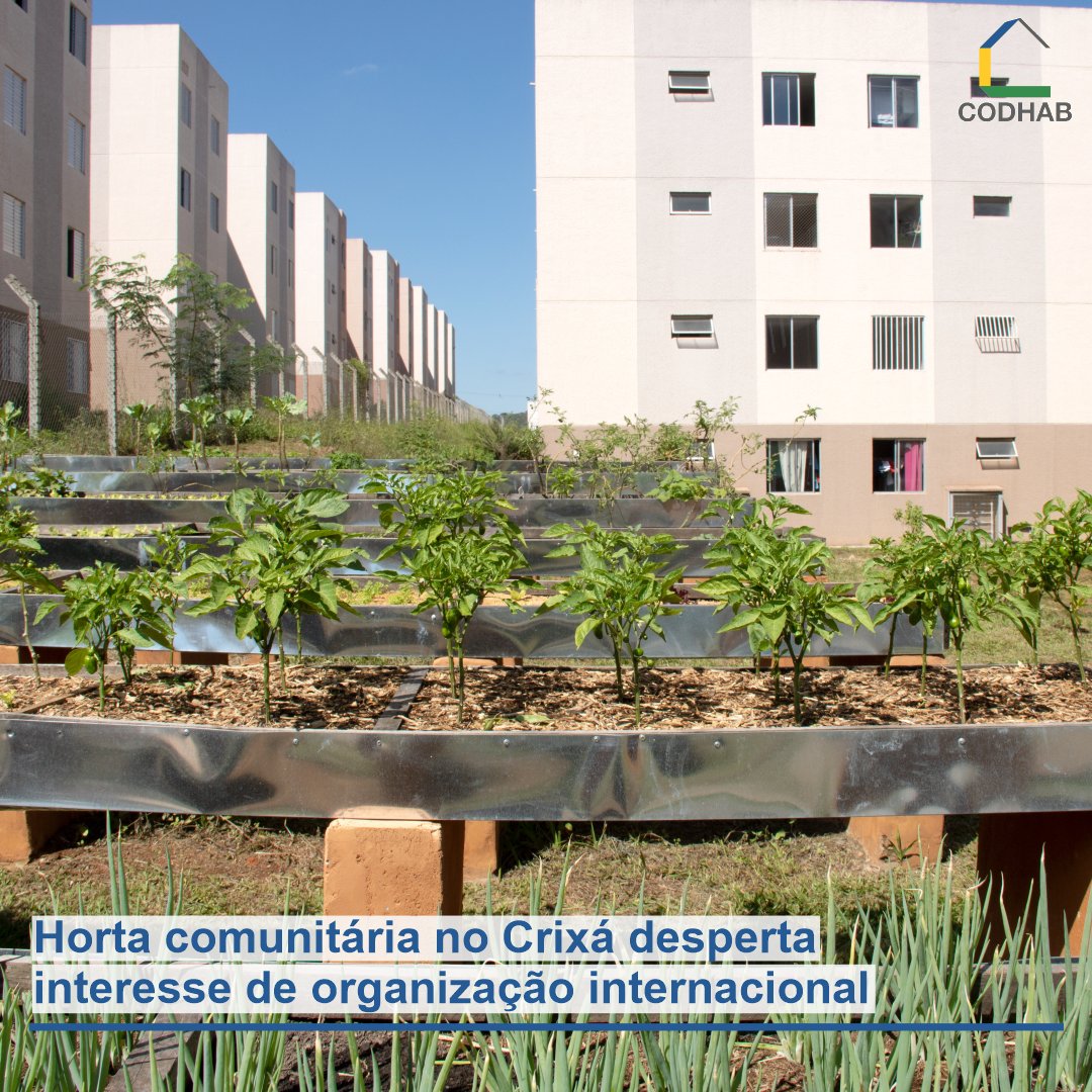 CodhabDF's tweet image. Horta comunitária no Crixá desperta interesse de organização internacional

Saiba mais: codhab.df.gov.br/postagem/horta…

#codhabdf #GDF