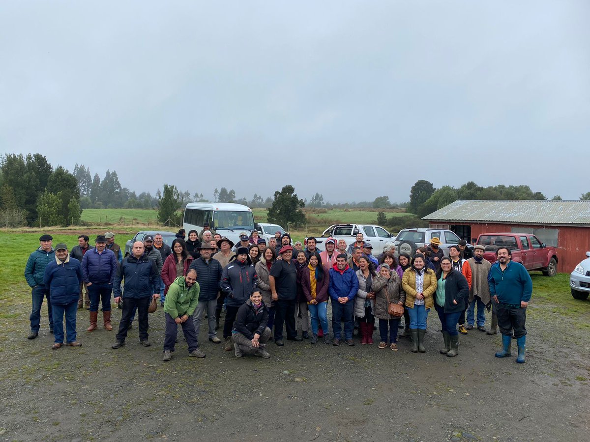 DÍA DE CAMPO Y TALLER DE MANEJO REPRODUCTIVO 🐏Con más de 50 productores y productoras ovinas de Chiloé, se realizó un día de campo y taller en manejo reproductivo, genética y técnica de inseminación en ovinos en el marco del Grupo de Extensión Tecnológica (GET) de INIA Butalcura
