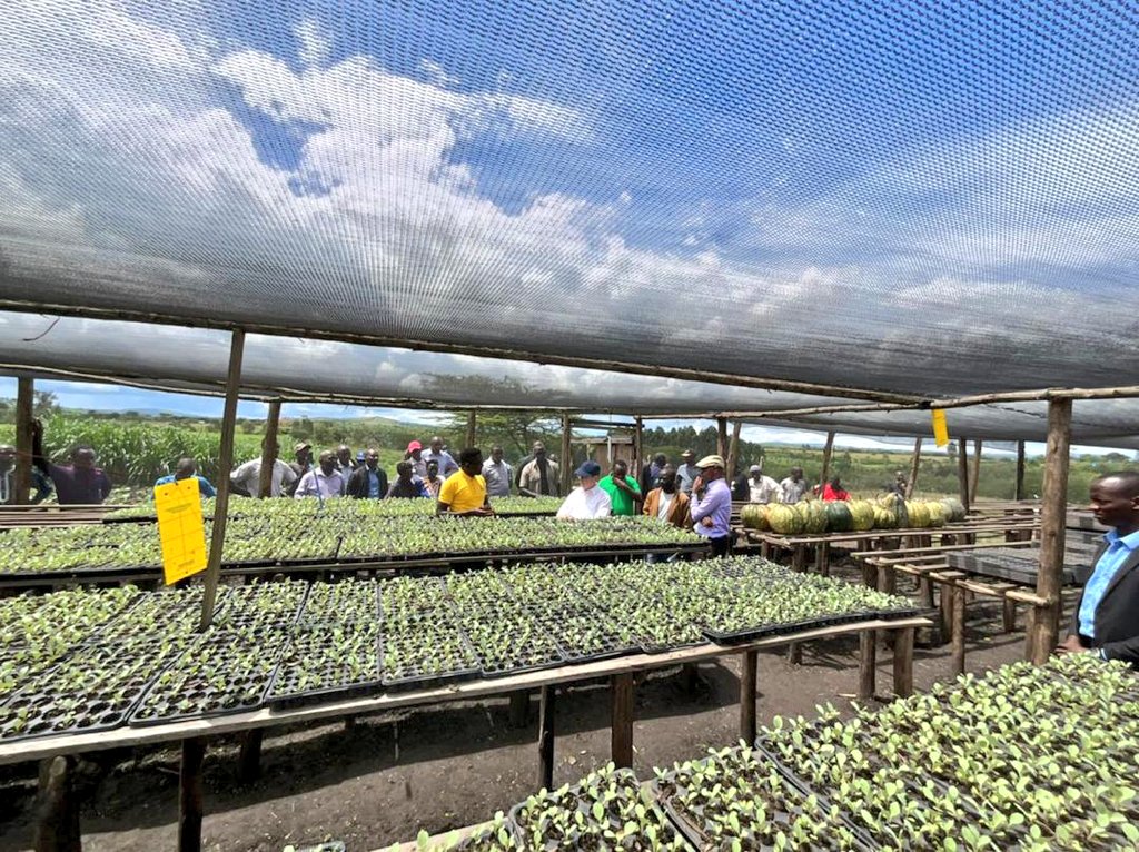 AmbRonAdam's tweet photo. I was glad to visit the Horticulture project in @NyagatareDistr built by @HoReCo, the Cooperative of @MASHAVisrael graduates and  supported by @IsraelinRwanda. This Seedling Multiplication Unit provides local farmers best farming practices that aims to increase  production. https://t.co/TpsUDRQucn