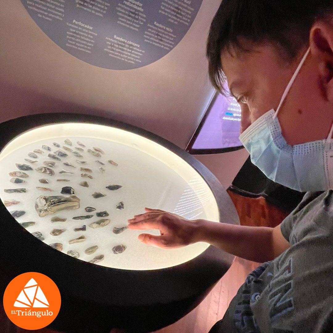 ¡Nuestros estudiantes enriqueciendo su conocimiento en el Museo Arqueológico Weilbauer de la Pontificia Universidad Católica del Ecuador! 🏛️📚