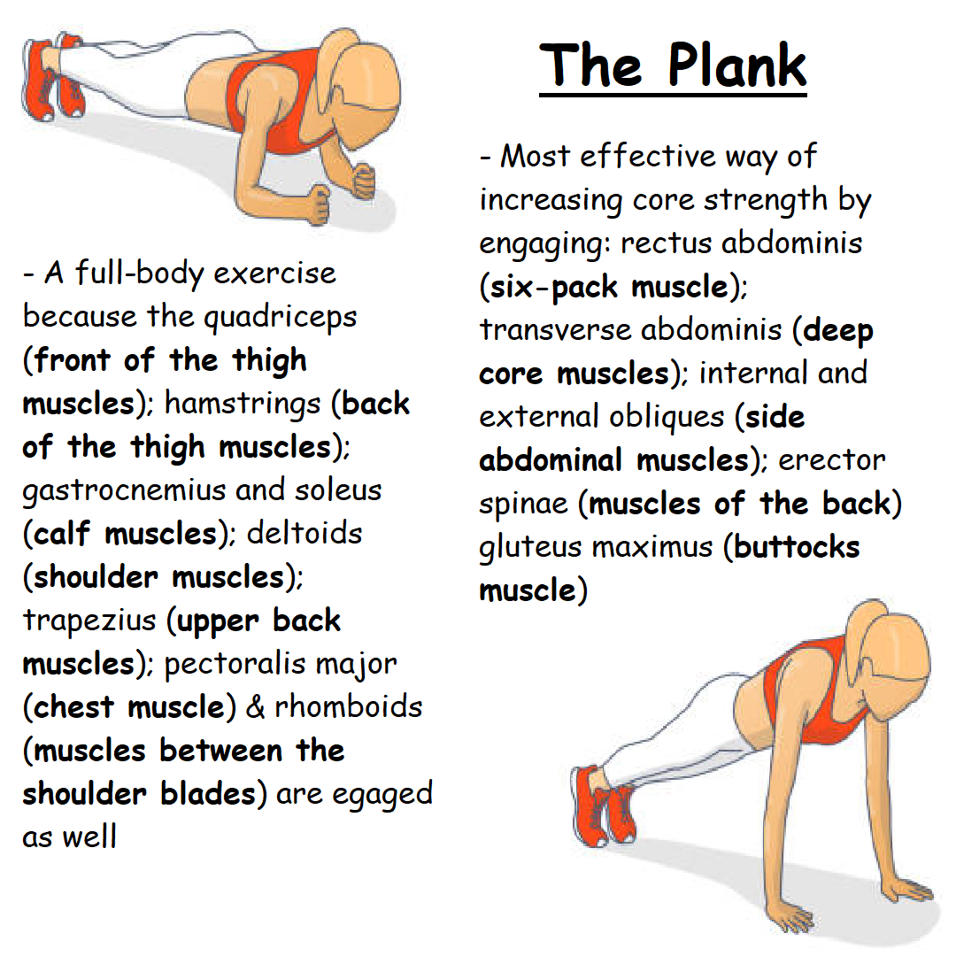 _Fitness_Prince's tweet photo. #Fitness #CoreWorkout #sixpackabs #sixpack #sixpackworkout #Planks #CoreStrength #Posture #LowPlank #HighPlank #Health https://t.co/aUqyHi7INJ