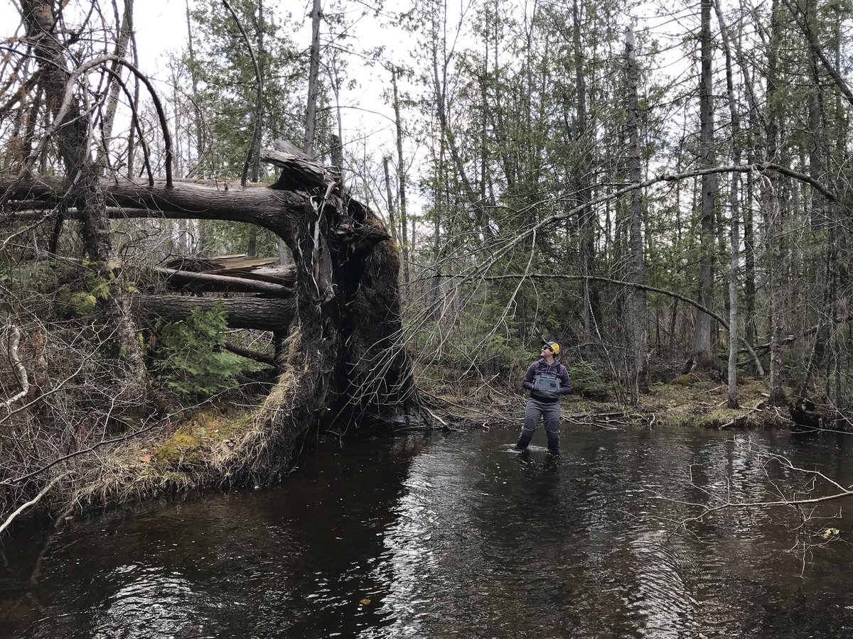 ThinkLikeA_Mtn's tweet photo. Back in the Northwoods on our culvert shenanigans https://t.co/xl475keKBB
