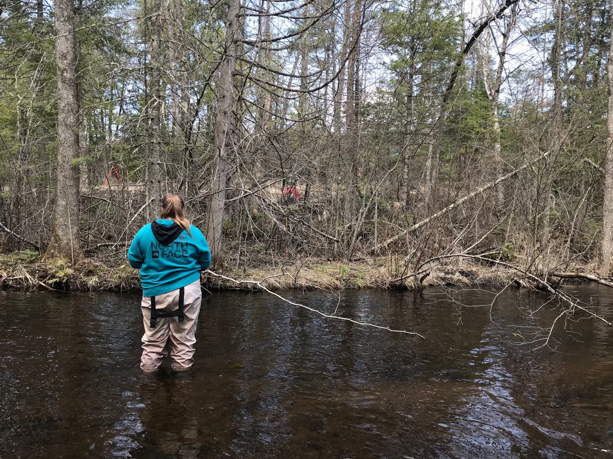 ThinkLikeA_Mtn's tweet photo. Back in the Northwoods on our culvert shenanigans https://t.co/xl475keKBB