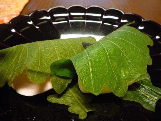 manseido's tweet photo. 今日は城端曳山祭
・曳山の車輪をイメージした練り切り菓子。数量限定で販売します😊
・２階珈琲茶房　善哉にて
かき氷販売
4年ぶりの通常開催の曳山祭です😊
情緒ある城端をお楽しみください♬

柏餅、シュークリーム、お赤飯など、たーくさん準備してお待ちしておりますね。
#城端
#田村萬盛堂 https://t.co/5b5evqBDxL