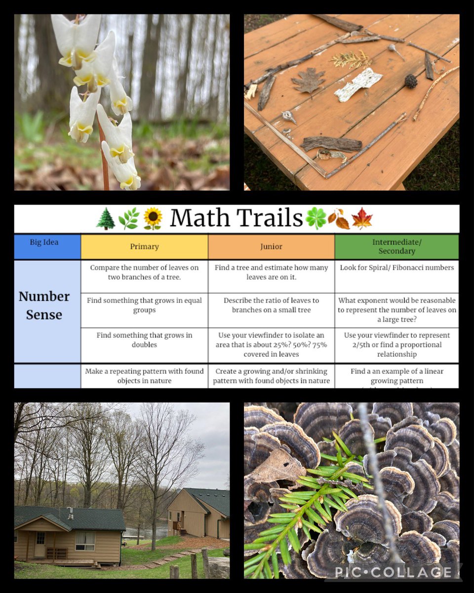 Swan Lake Outdoor Ed (@swanlakeoe) on Twitter photo Many thanks to the Math and OE facilitators for an incredible day of outdoor learning. We gained so many fabulous ideas during your Math Trails session and are excited to incorporate them into our programming. #MathIsEverywhere <a href="/YRDSB/">York Region DSB</a> <a href="/maruccig/">Gina Marucci</a> Many thanks to the Math and OE facilitators for an incredible day of outdoor learning. We gained so many fabulous ideas during your Math Trails session and are excited to incorporate them into our programming. #MathIsEverywhere <a href="/YRDSB/">York Region DSB</a> <a href="/maruccig/">Gina Marucci</a>