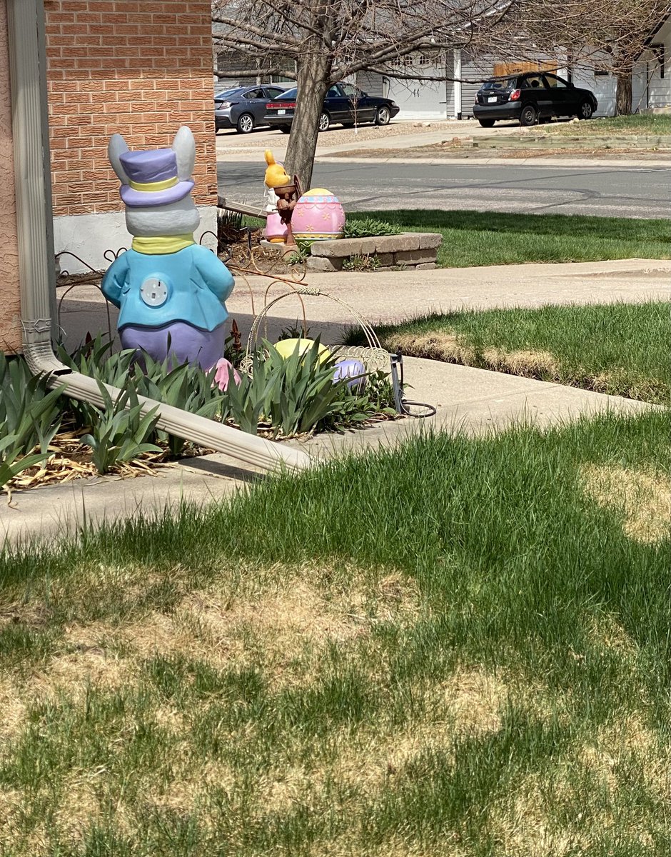 WinterGal42's tweet photo. Not only does my neighbor keep Christmas #decorations out until February but her #lawn decorations are still out in #May. She's not lazy so all I can say is: Dayum woman. Srsly??.. https://t.co/nGJpbaMtHC