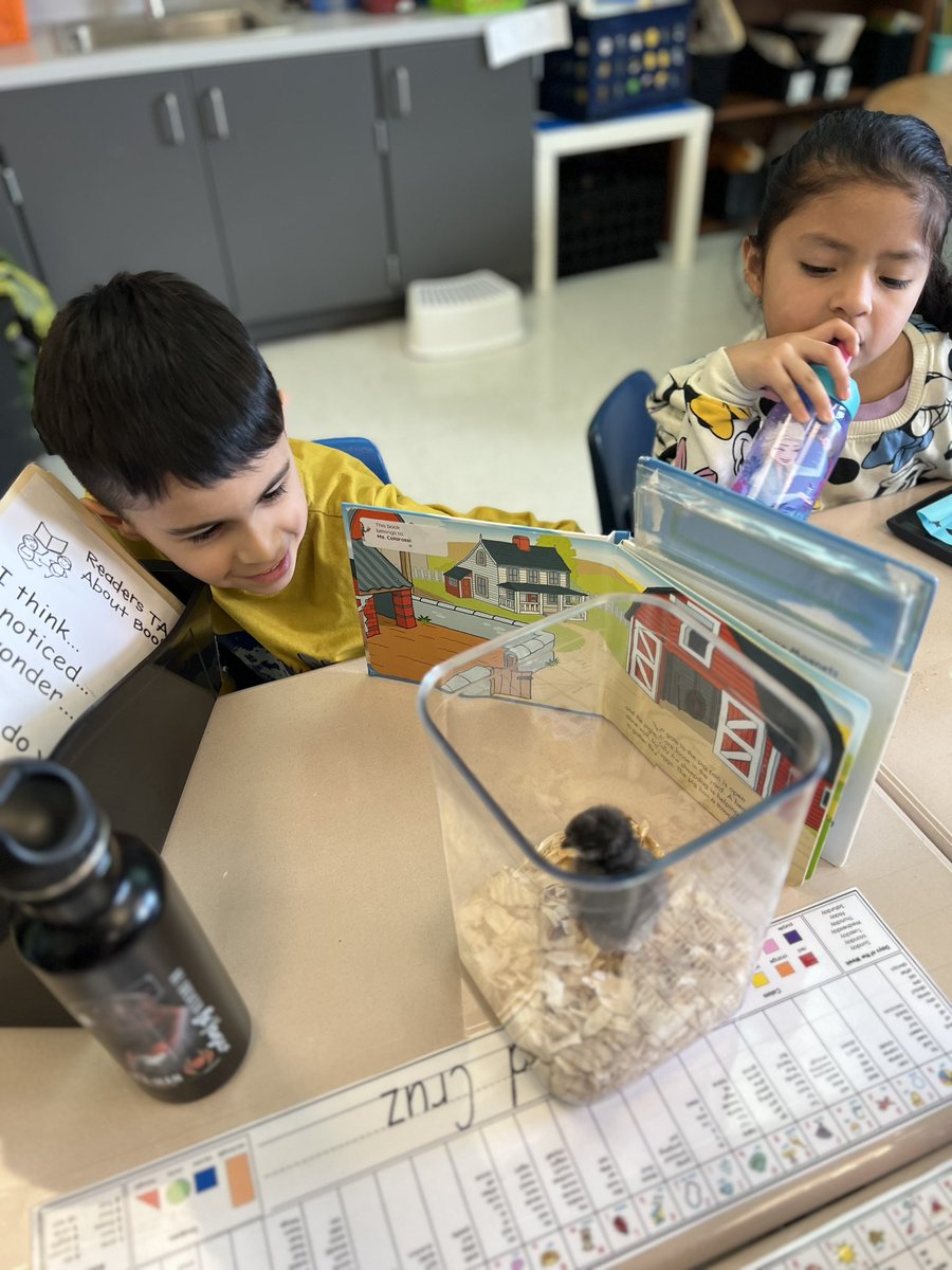 Stacey Chang tweet media