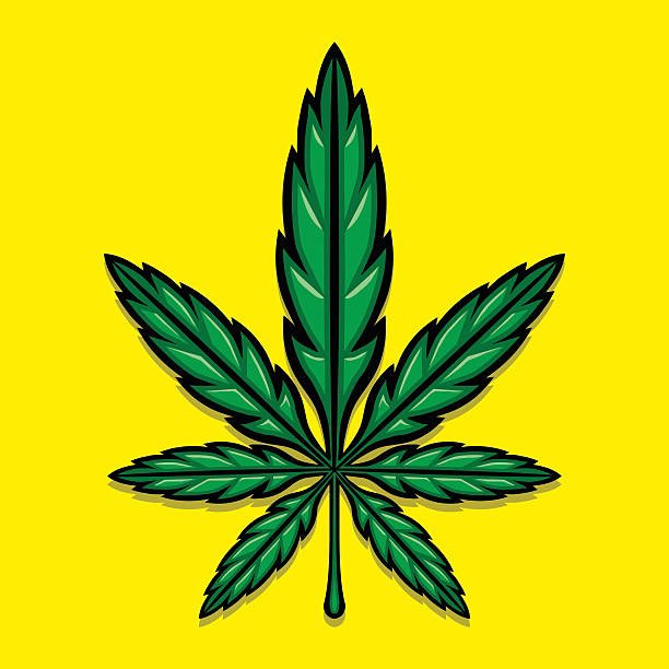 travisa850's tweet photo. Smoke it if ya got it! https://t.co/CyN5HbuIFh