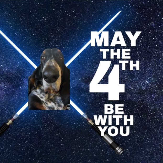 #Maythe4bewithyou