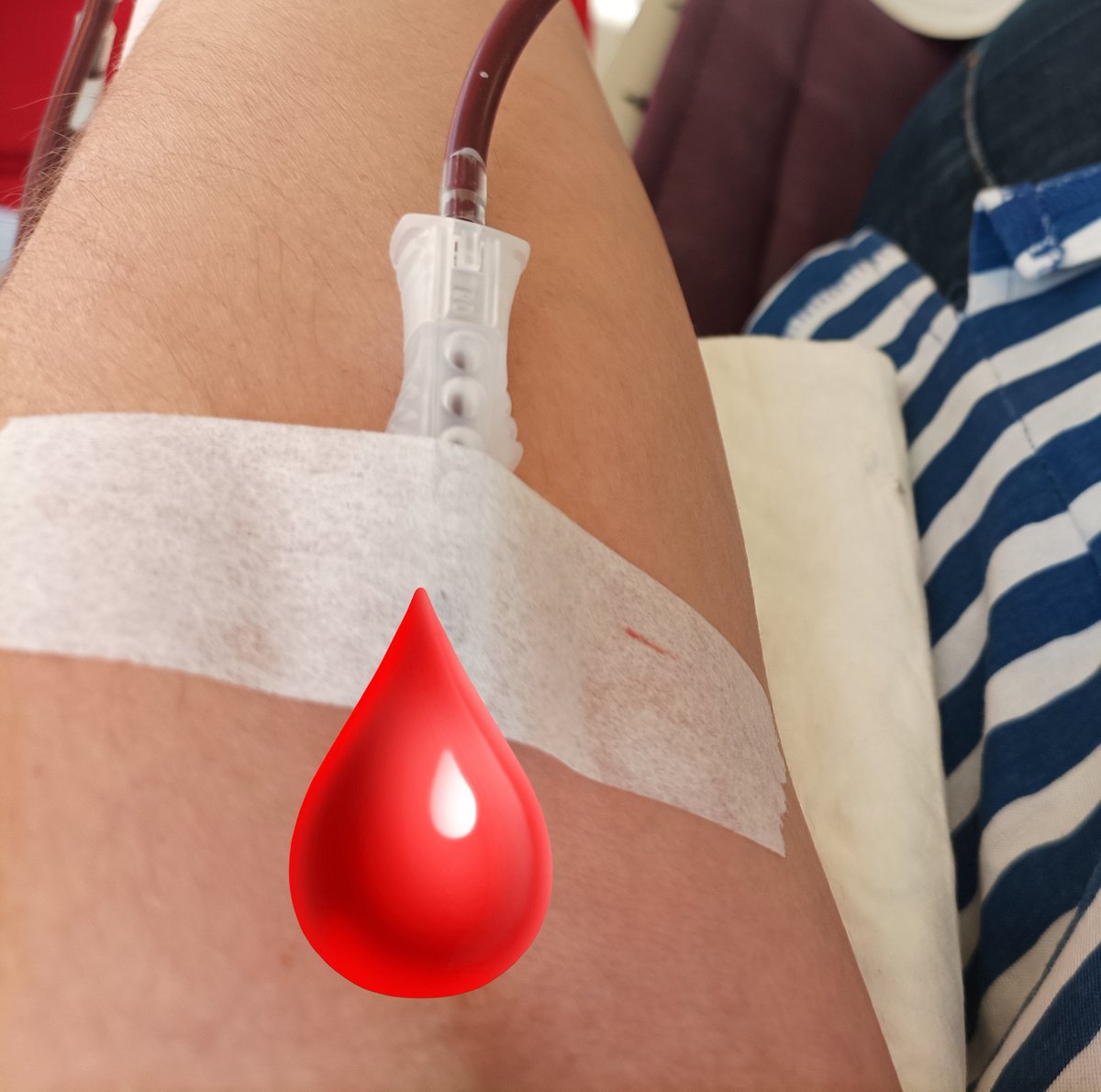 labrujademaria tweet media