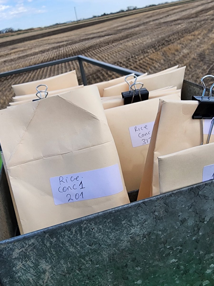 FarmingSmarter's tweet photo. Our #Agronomy Research team is seeding an exciting new project that looks a little bit like last year's favorite!
🚜🍚😉

#plant23 #agriculture #Alberta #WestCdnAg https://t.co/c4RWSezqK2