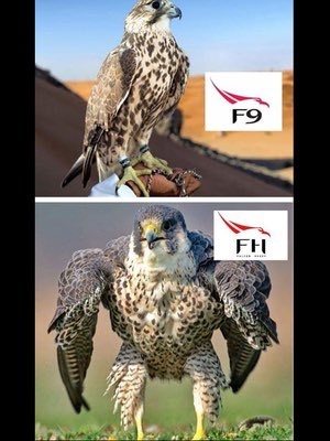 TonyadeVitti's tweet photo. @elonmusk https://t.co/smq8KmPH63