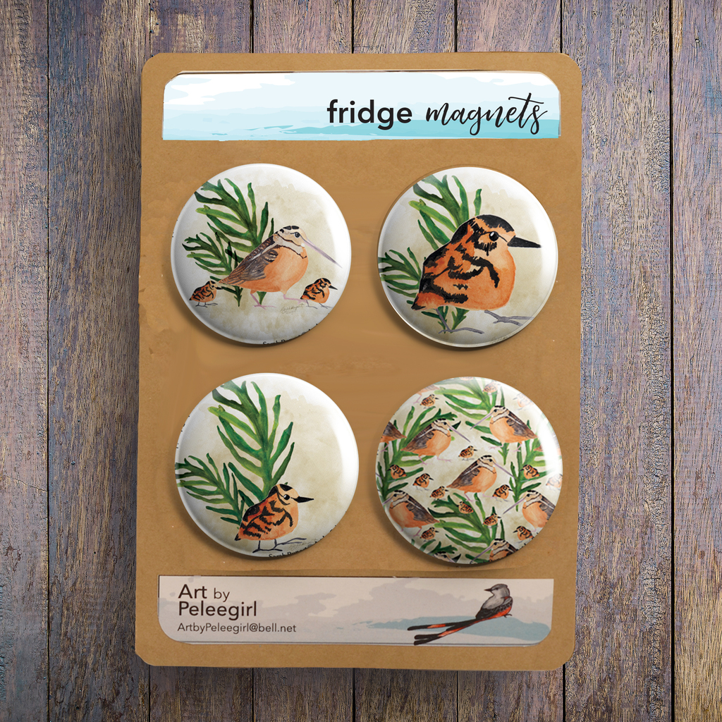 New product alert!  The woodcocks are now available on magnets in my Etsy store. instagr.am/p/Cr1a8MUOZKi/