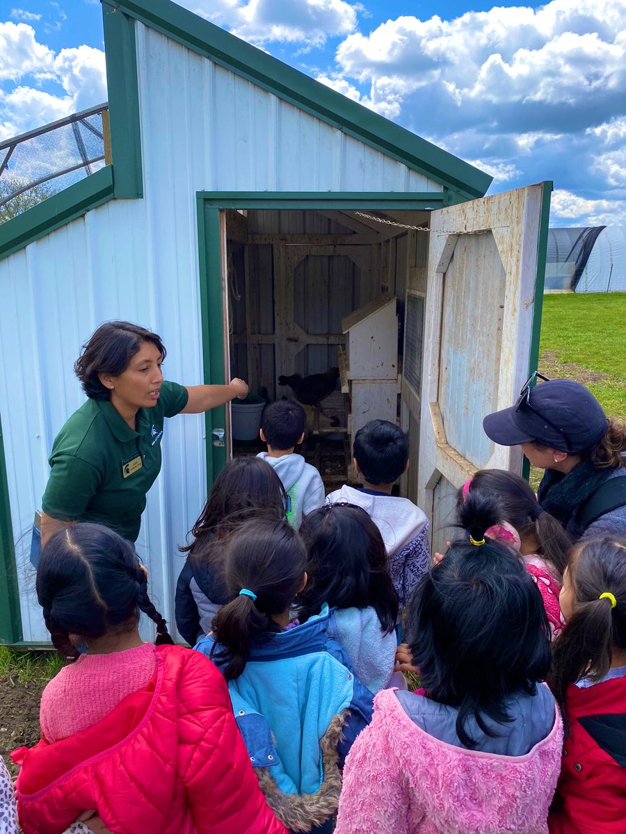 Olivia Oquist tweet media