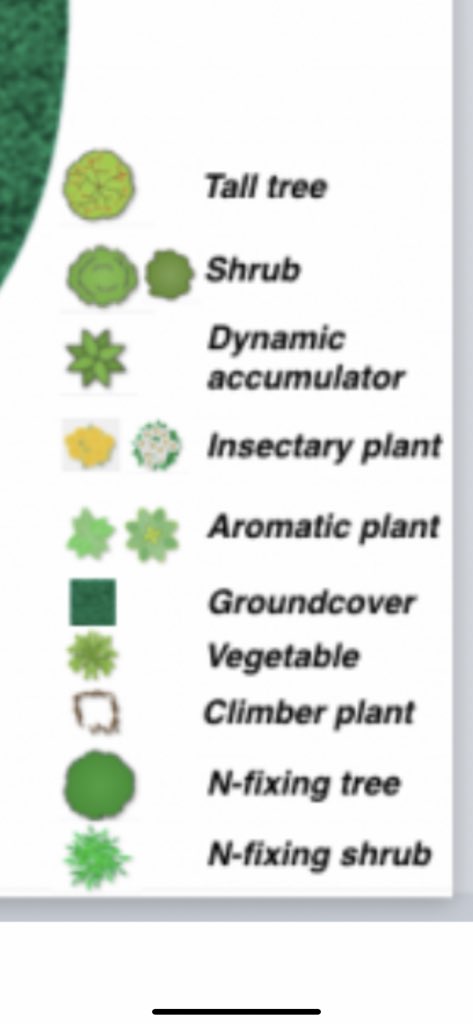 CyfraithEcocide's tweet image. It’s happening to oaks here in Britain. Without oaks (and insects) we are nothing! 🌳.. #swales (really big divots) for each tree, and much more besides!!