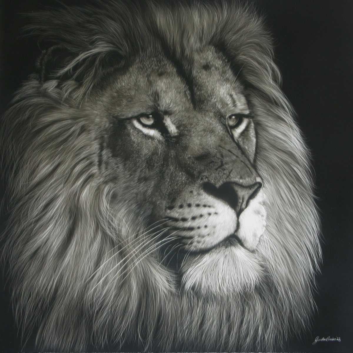 CorrinsArt's tweet photo. New work! "Amari" African #Lion 30x30 inches
Ampersand Art Supply #claybord 
#acrylic #corrinsart #art #artist #artwork #painting #wildlife #artgallery #artcollectors #artcollector #artlovers #artoftheday #contemporaryart #animal #wildlifeartist  #animalart #wildlifeartist https://t.co/5HrMTCzIzw