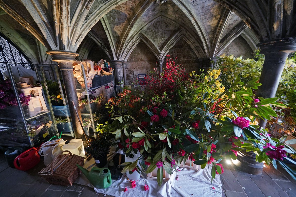 The Royal Family (@royalfamily) on Twitter photo πΈπΌπ· From the Isle of Skye to the coast of Cornwall, and from the mountains of Snowdonia to Tobermore in Northern Ireland, over 120 varieties of flowers have been grown by over 80 members of <a href="/Flowers_ft_Farm/">FlowersFromTheFarm</a>. πΈπΌπ· From the Isle of Skye to the coast of Cornwall, and from the mountains of Snowdonia to Tobermore in Northern Ireland, over 120 varieties of flowers have been grown by over 80 members of <a href="/Flowers_ft_Farm/">FlowersFromTheFarm</a>.