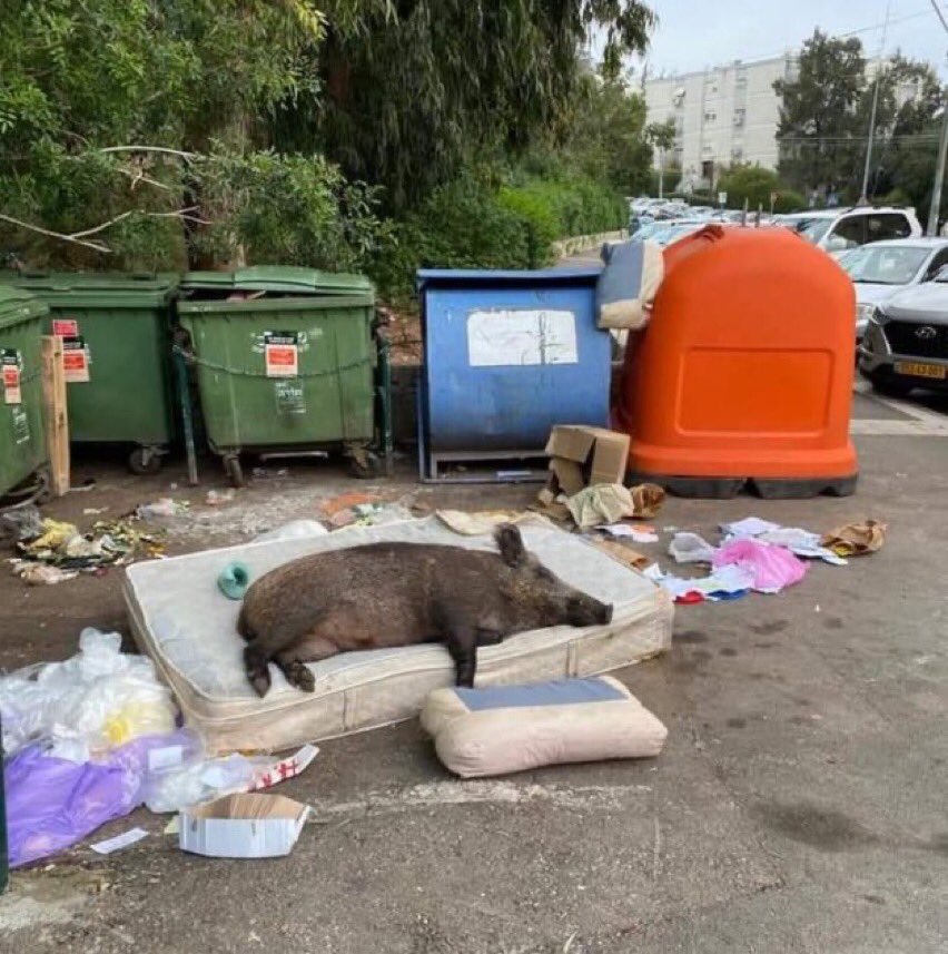 Me sleeping at night knowing girls are swiping left cuz he’s funny looking xx