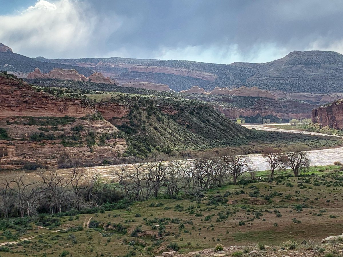alpineheather's tweet photo. This week, hoping to complete a draft of my latest novel, I’m on a writing retreat. Just the mighty shimmering Colorado, the grounding red rocks, and me. https://t.co/EIS8HU0GfS