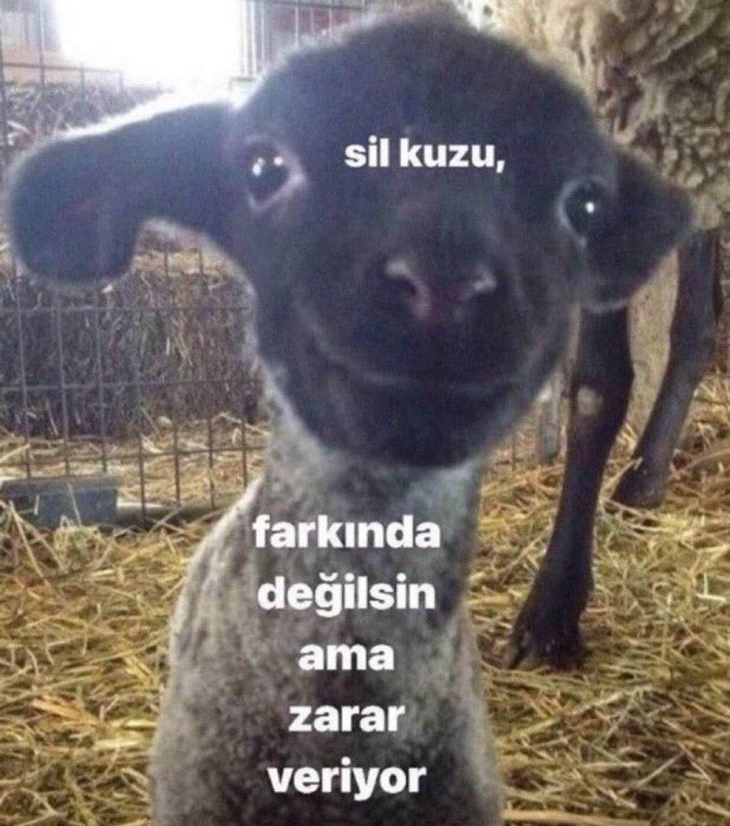 🥹🥲duygusal bi bomba sayilir...