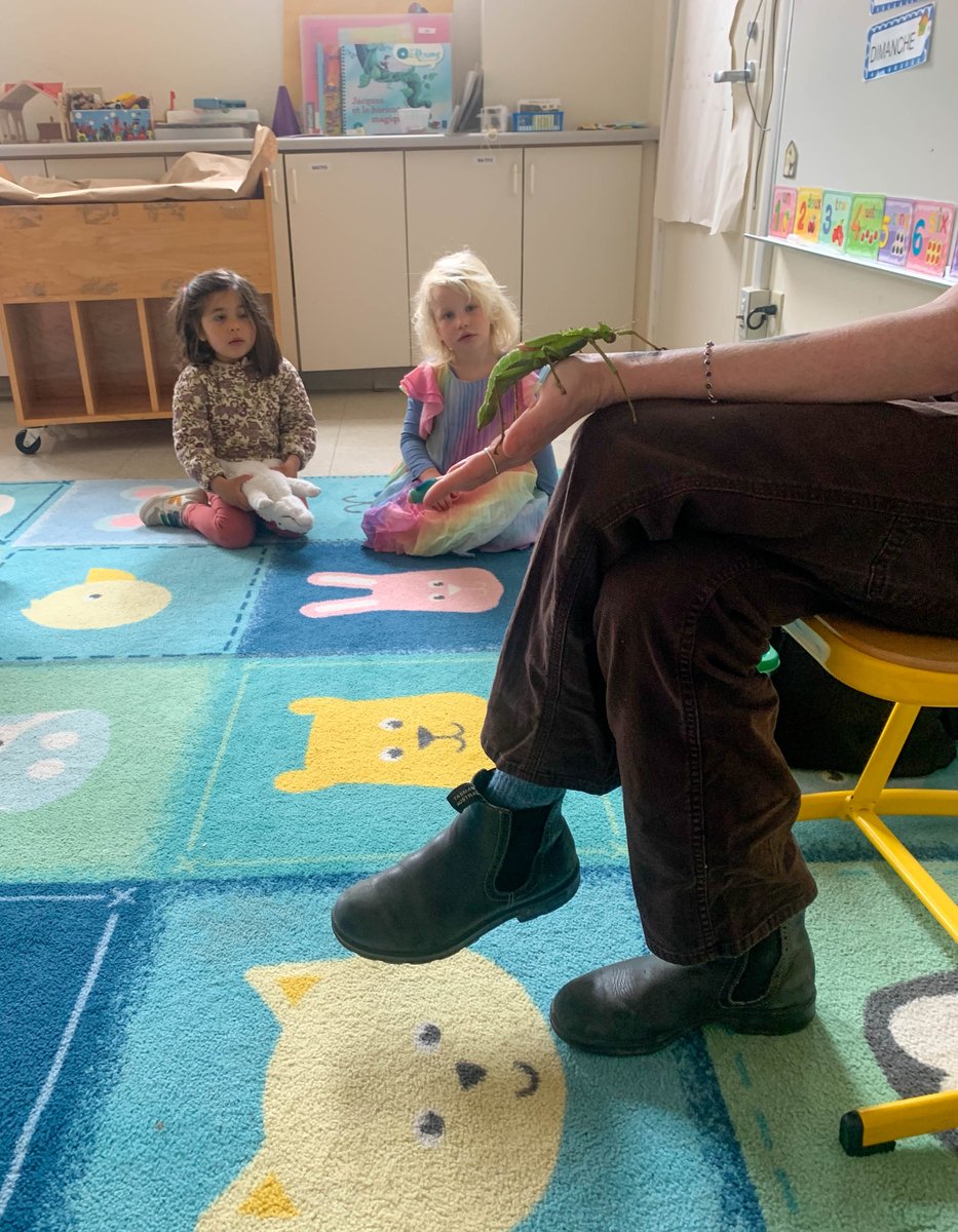 lelyceeSF's tweet photo. The insect lab presented preschool students with some quite impressive insects. Preschoolers could take them in their hands. 🪰🪳🦟 For each insect, the presenter explained its origin and environment.
#LFSFjadore #LFSFmoments #MoreInTheHeadlines https://t.co/RKpQmPji42