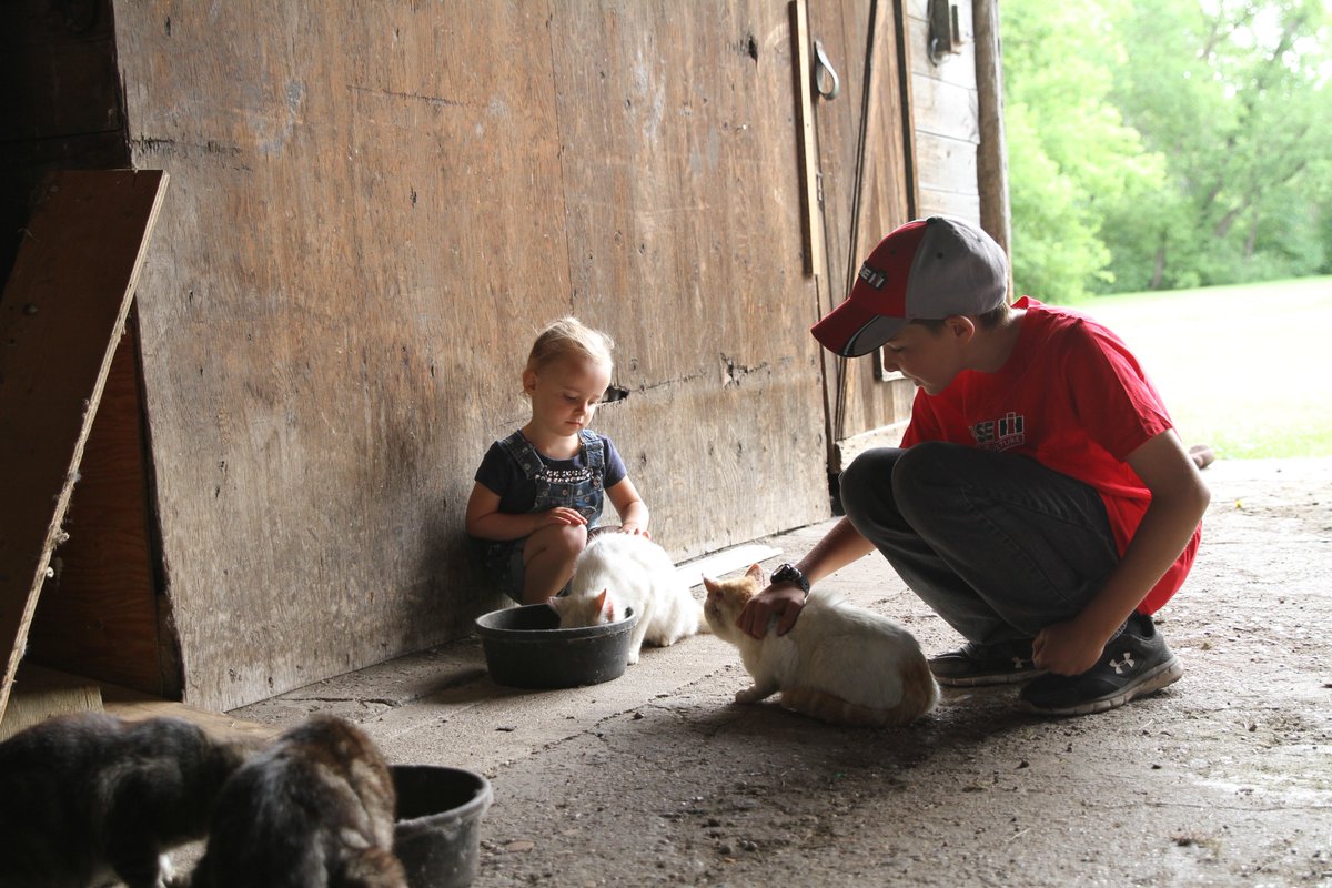 Do you have little ones on your farm? Concerned about their safety? Thinking about creating a safe play area? There’s a resource for that! cultivatesafety.org//wp-content/up…