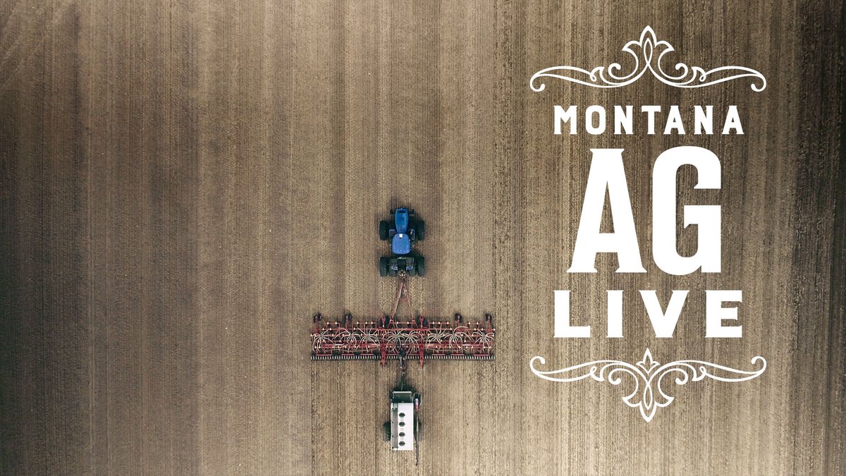 This Sunday at 7pm, it's an all new Montana Ag Live! The arrival of new invasive plants and animals in Montana can present new management challenges. Jane Mangold, invasive species specialist at Montana State University, joins us to visit about potential new threats to Montana.