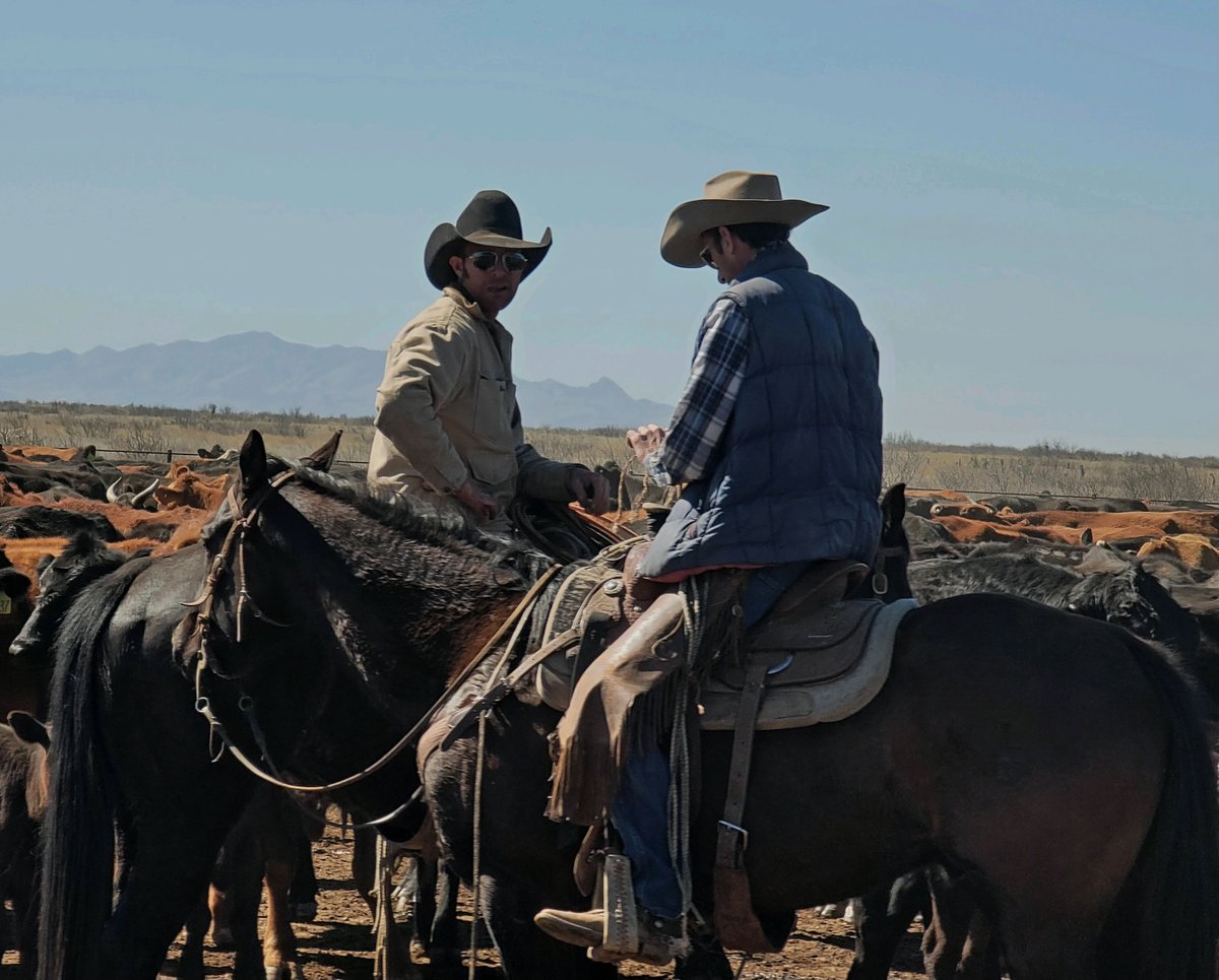 Ranchbot_tech's tweet photo. Some great shots from Cienega Ranch, in the Chihuahuan desert of south-eastern Arizona. This ranch is home to herds of cattle, a black-tailed prairie dog colony, and provides habitats for indigenous plants and animals.
#ranchers #cattle #livestock #ranchbot #ranching https://t.co/yy1ORs1L1x
