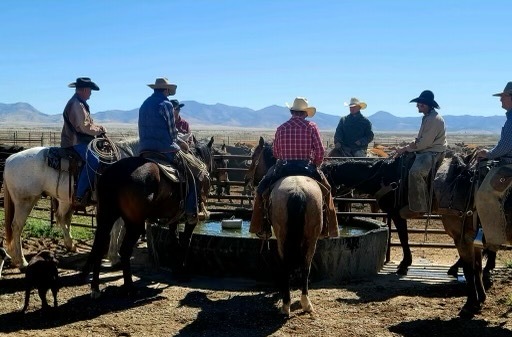Ranchbot_tech's tweet photo. Some great shots from Cienega Ranch, in the Chihuahuan desert of south-eastern Arizona. This ranch is home to herds of cattle, a black-tailed prairie dog colony, and provides habitats for indigenous plants and animals.
#ranchers #cattle #livestock #ranchbot #ranching https://t.co/yy1ORs1L1x