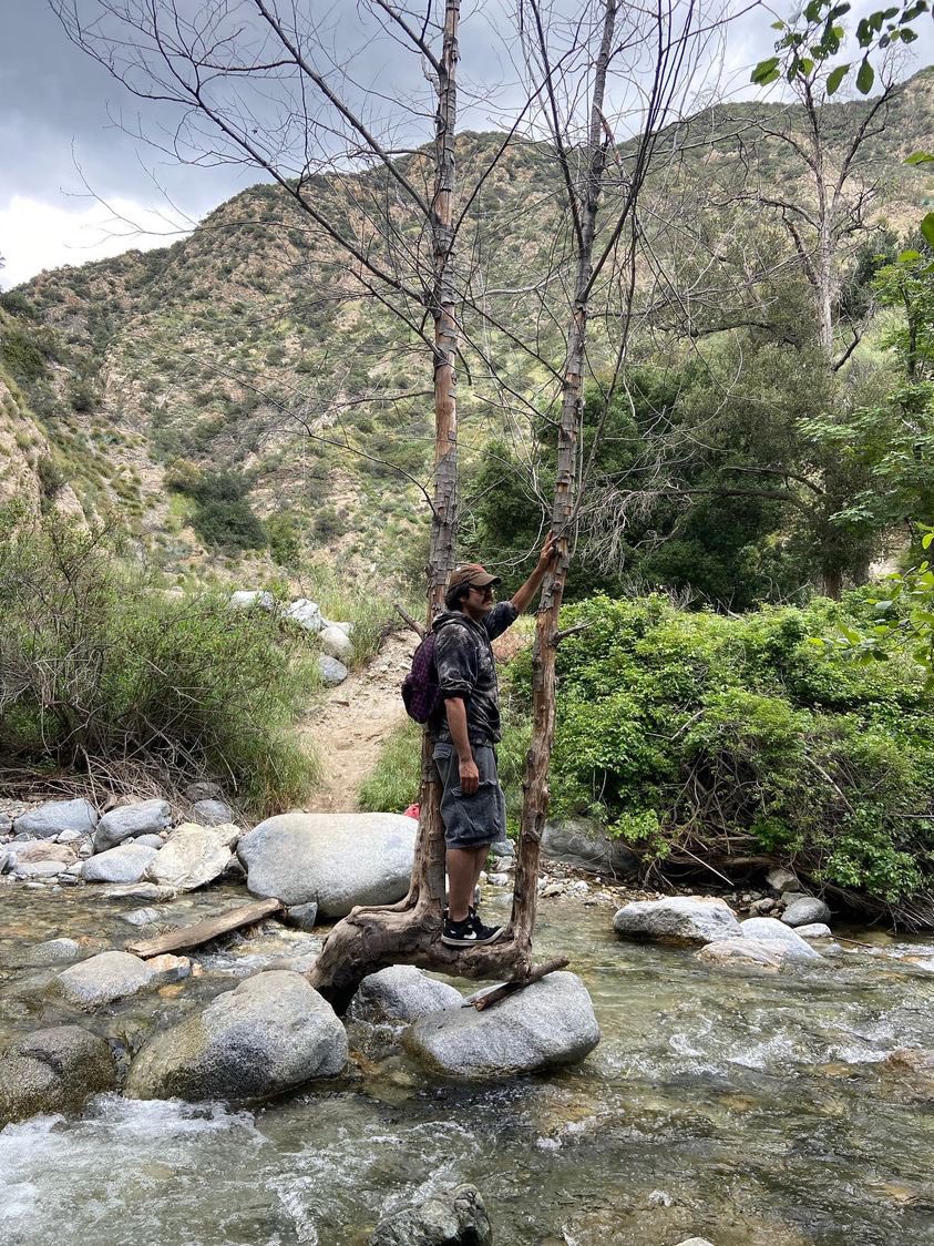 psychedelicseo's tweet photo. Went out side yesterday 🌿☀️🌴🌎 https://t.co/j21LL4IaRL