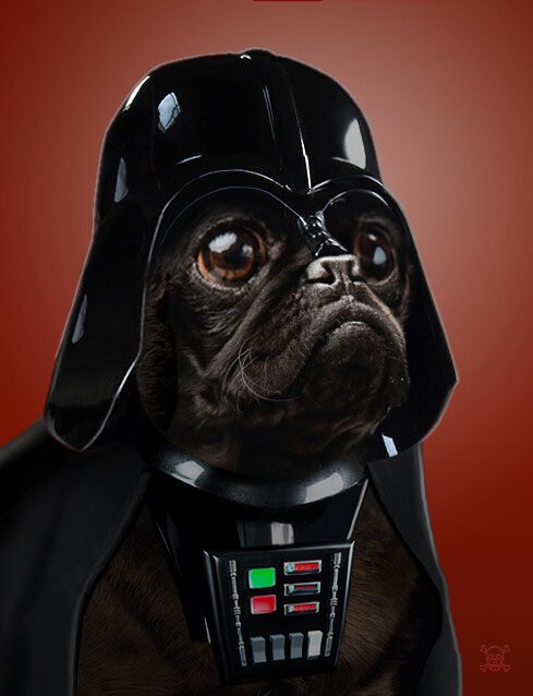 Come join the bark side. #May4thBeWithYou #blackpug