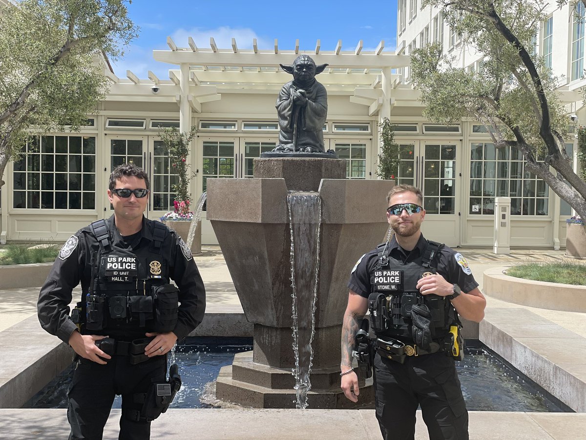 USPPNEWS tweet media