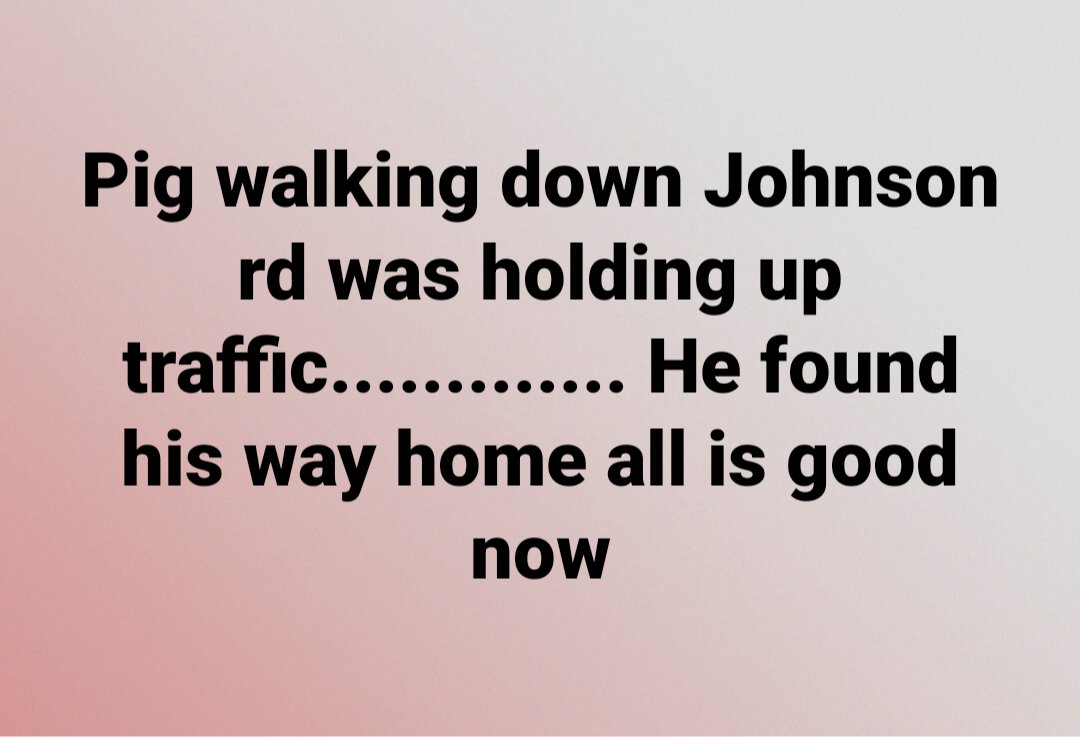 Meanwhile in my #smalltown