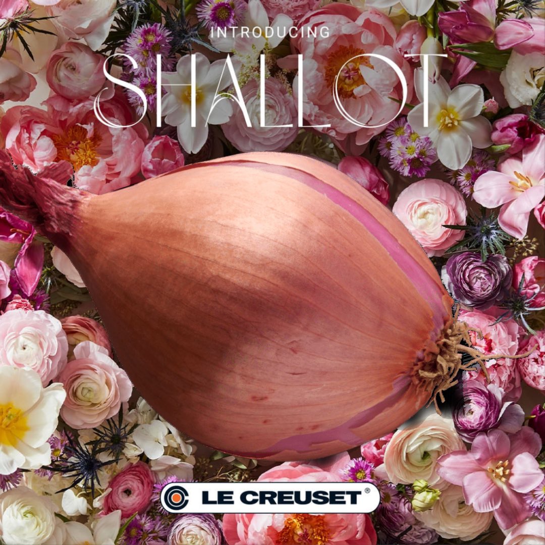 Shut_up_jasmine's tweet photo. @lecreuset https://t.co/HMykZMiaVD