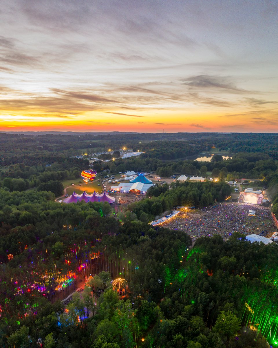 May The Forest be with you... 🌲 #ElectricForest