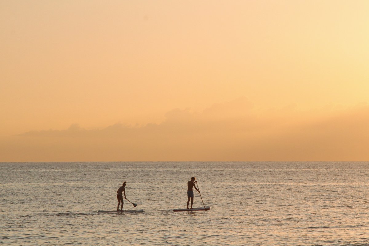 oceandiagnstics's tweet photo. Emerging Scientist Develops a Stand-Up Paddle Board Net to Collect Microplastics ➡️ https://t.co/OqAMGfrBrM
@CaminsElsa @SurfriderBcn @surfriderespana @UniBarcelona
#MicroplasticResearch #NewMethods #CommunityScience #CitizenScience https://t.co/OoZ1MkAkTm